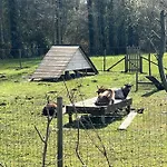 Mobile 3 Au Bord Du D'ardres, Peche Gratuite Sans Permis