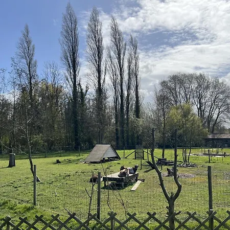 Mobile 3 Au Bord Du D'ardres, Peche Gratuite Sans Permis