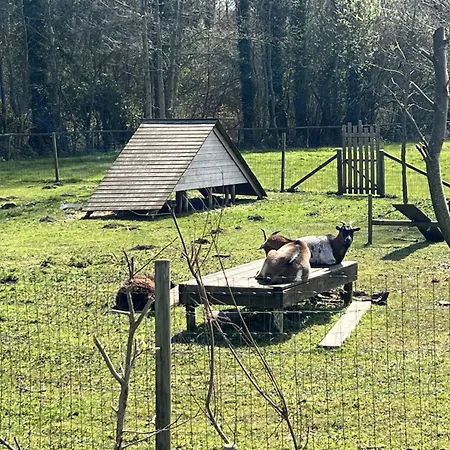 Mobile 3 Au Bord Du D'ardres, Peche Gratuite Sans Permis