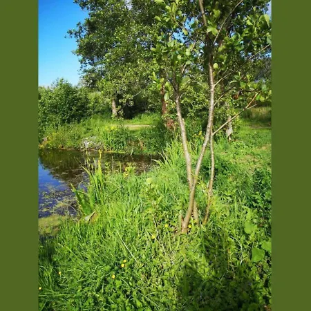 Mobile 3 Au Bord Du D'ardres, Peche Gratuite Sans Permis