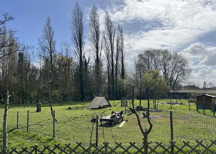 Mobile 3 Au Bord Du D'ardres, Peche Gratuite Sans Permis