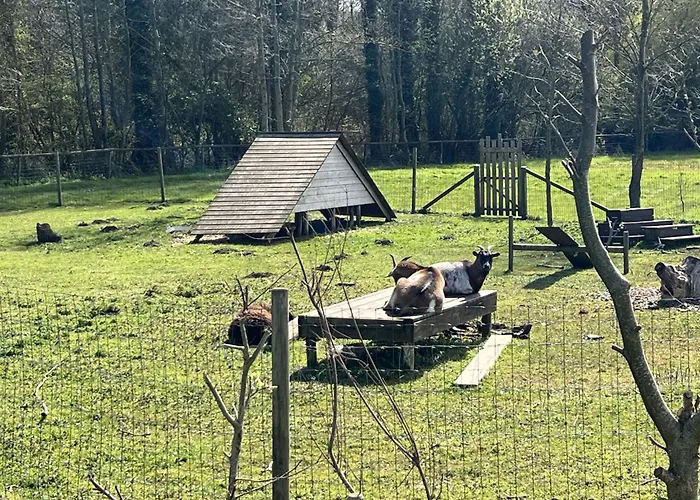 Mobile 3 Au Bord Du D'ardres, Peche Gratuite Sans Permis