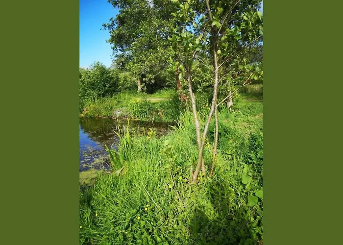 Mobile 3 Au Bord Du D'ardres, Peche Gratuite Sans Permis